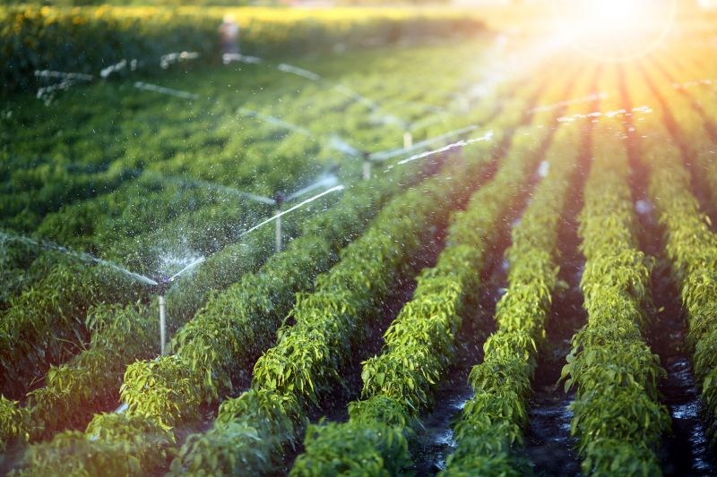 Completed Irrigation Repair