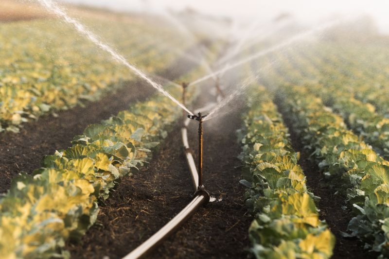 Efficient Irrigation Setup